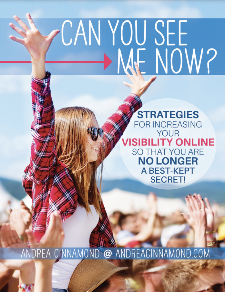 Online Visibility Program Can You See Me Now with Andrea Cinnamond